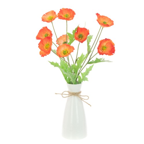 Poppy in Ripple Vase